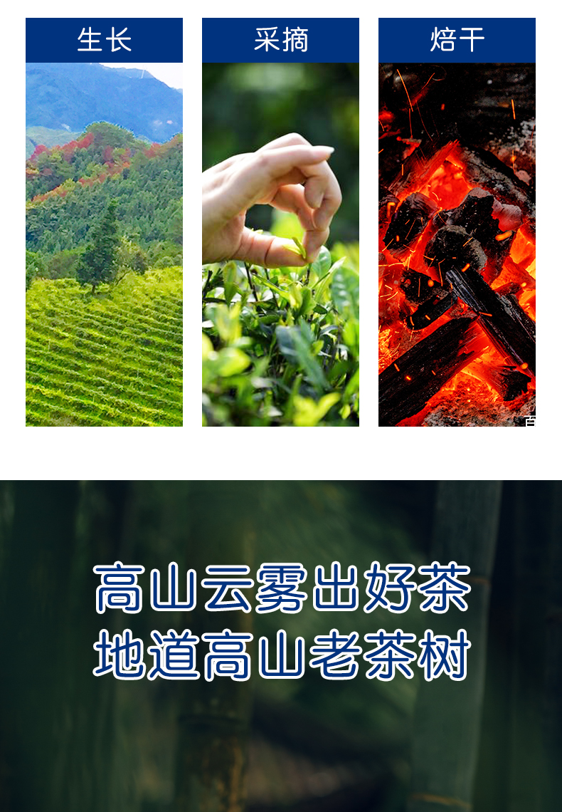 钱包袋六堡茶_06.jpg