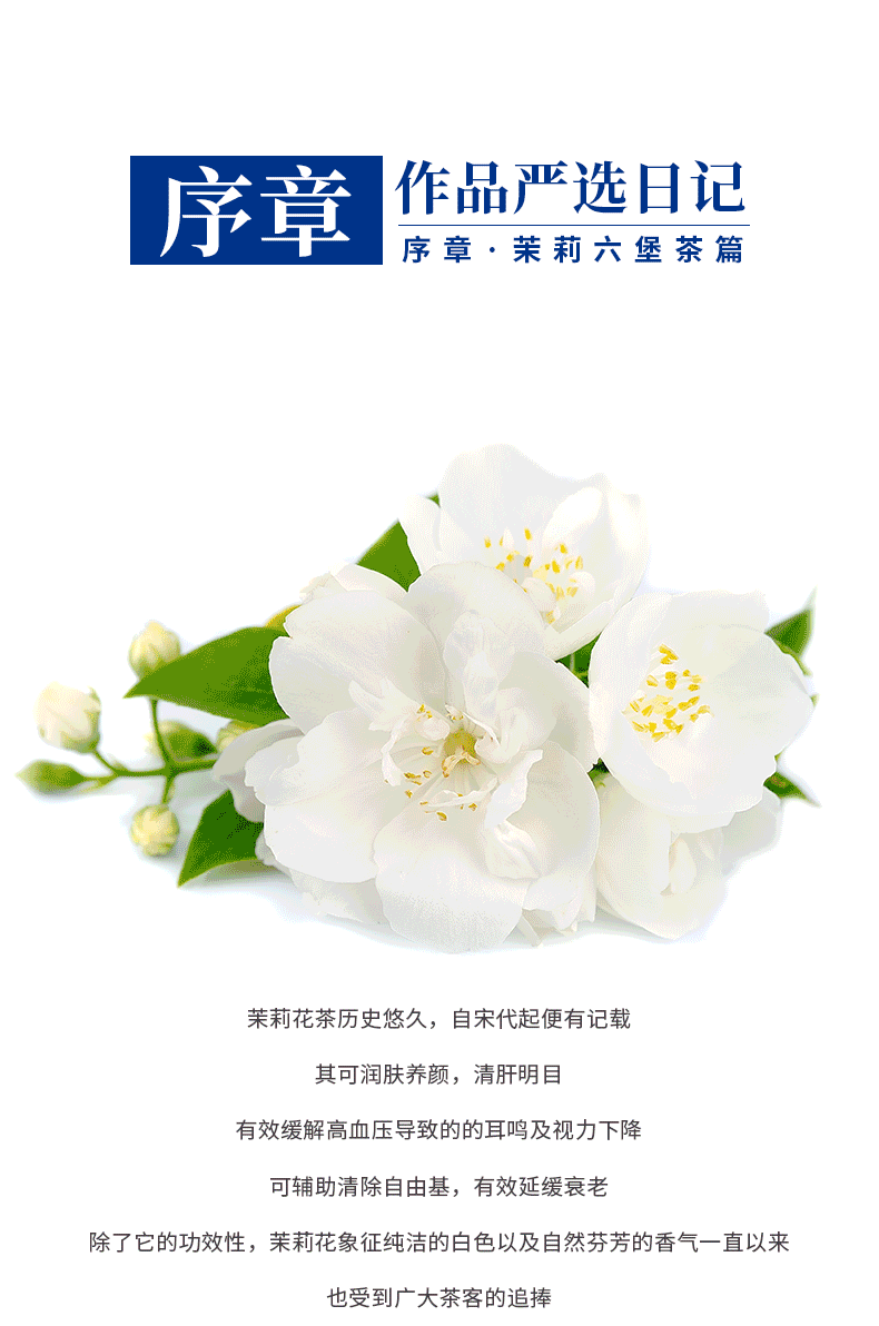 茉莉六堡推拉盒_01.png
