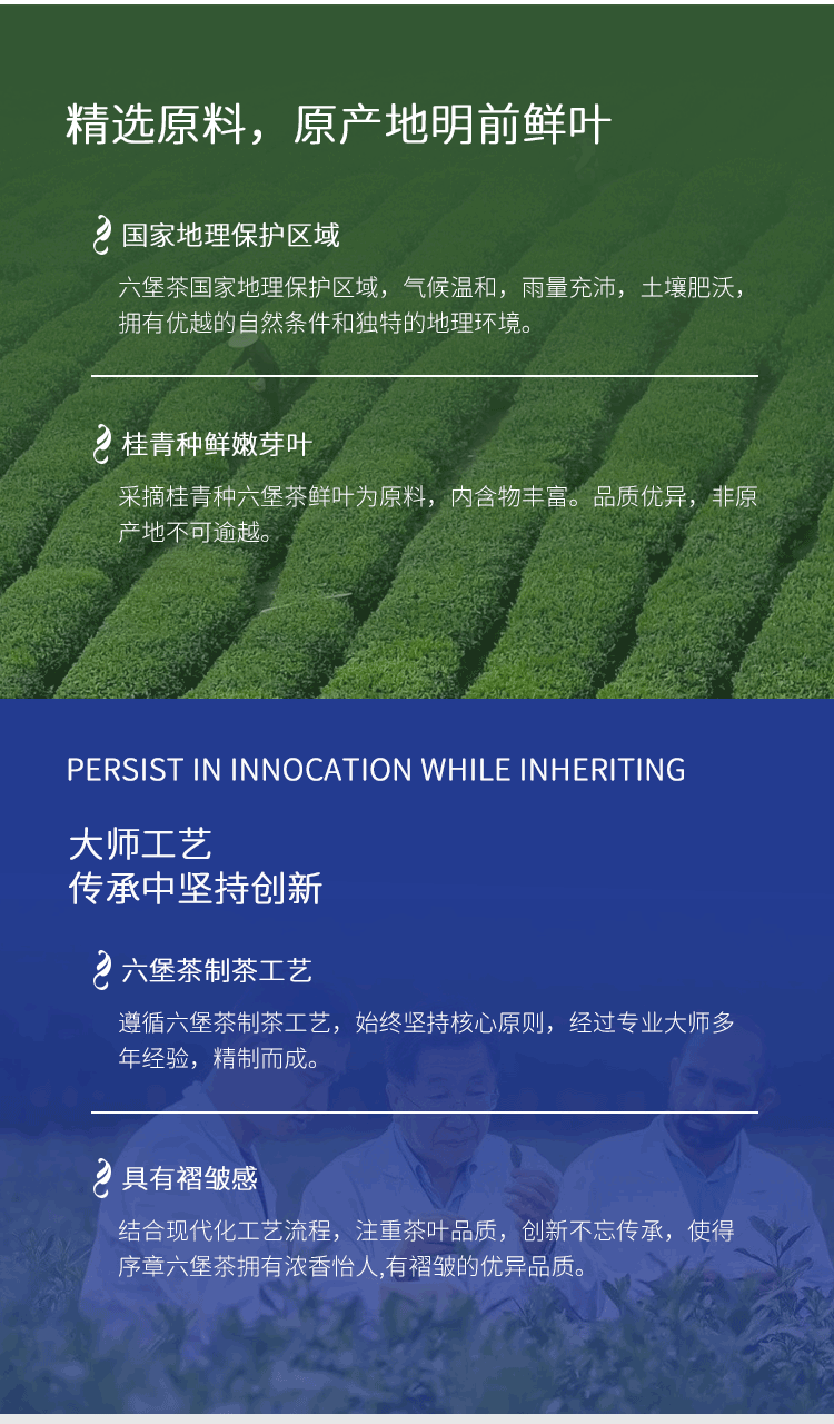 推拉盒玫瑰六堡15泡_04.png