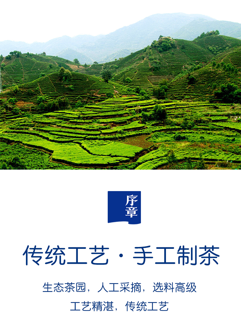 钱包袋六堡茶_05.jpg