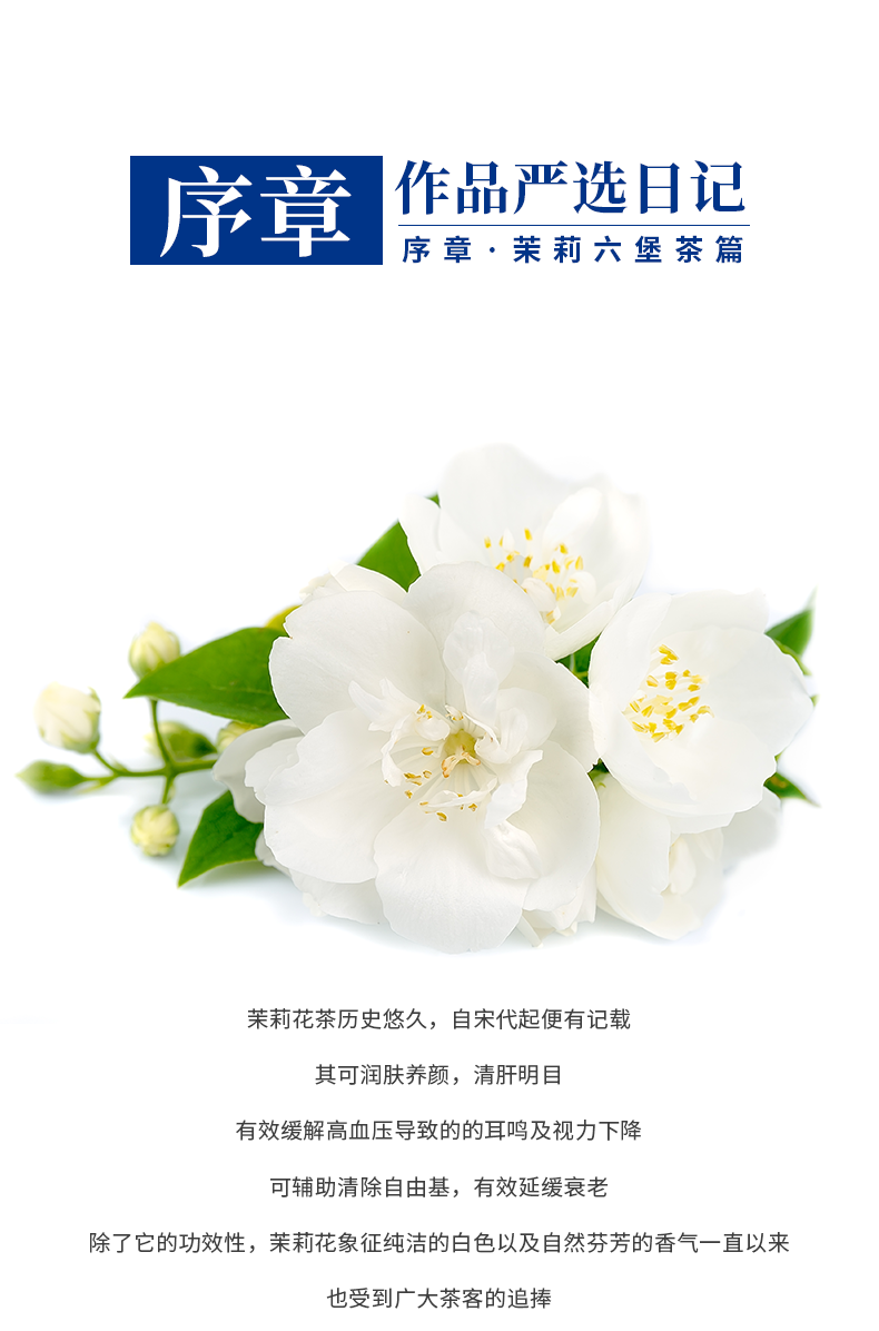 茉莉发布海报_01.png