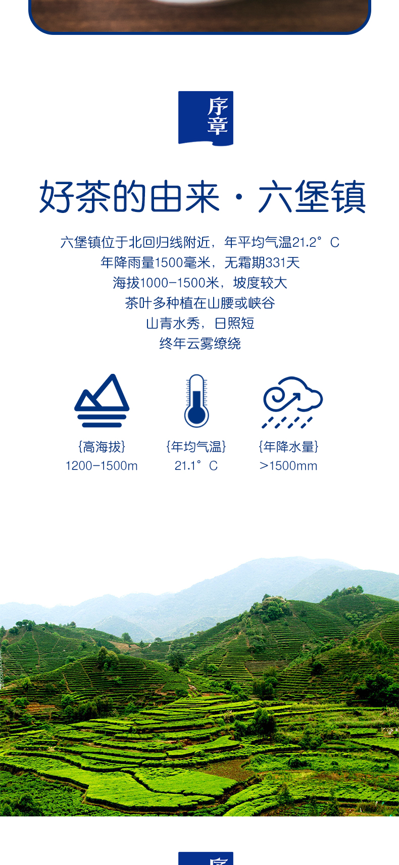 2018六堡茶钱包袋_03.jpg